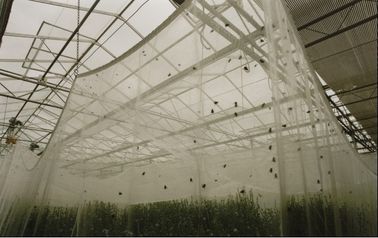 بلاستيكيّ حديقة زراعة anti حشرة تشبيك, معمل anti حشرة شبكة