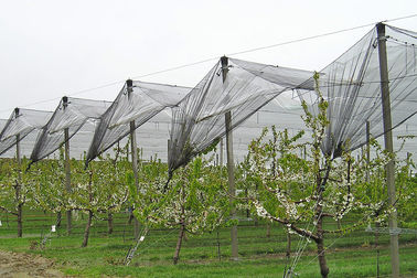 زراعة شبكة بلاستيكيّ anti-Hail مع anti uv لثمرة وخضرة